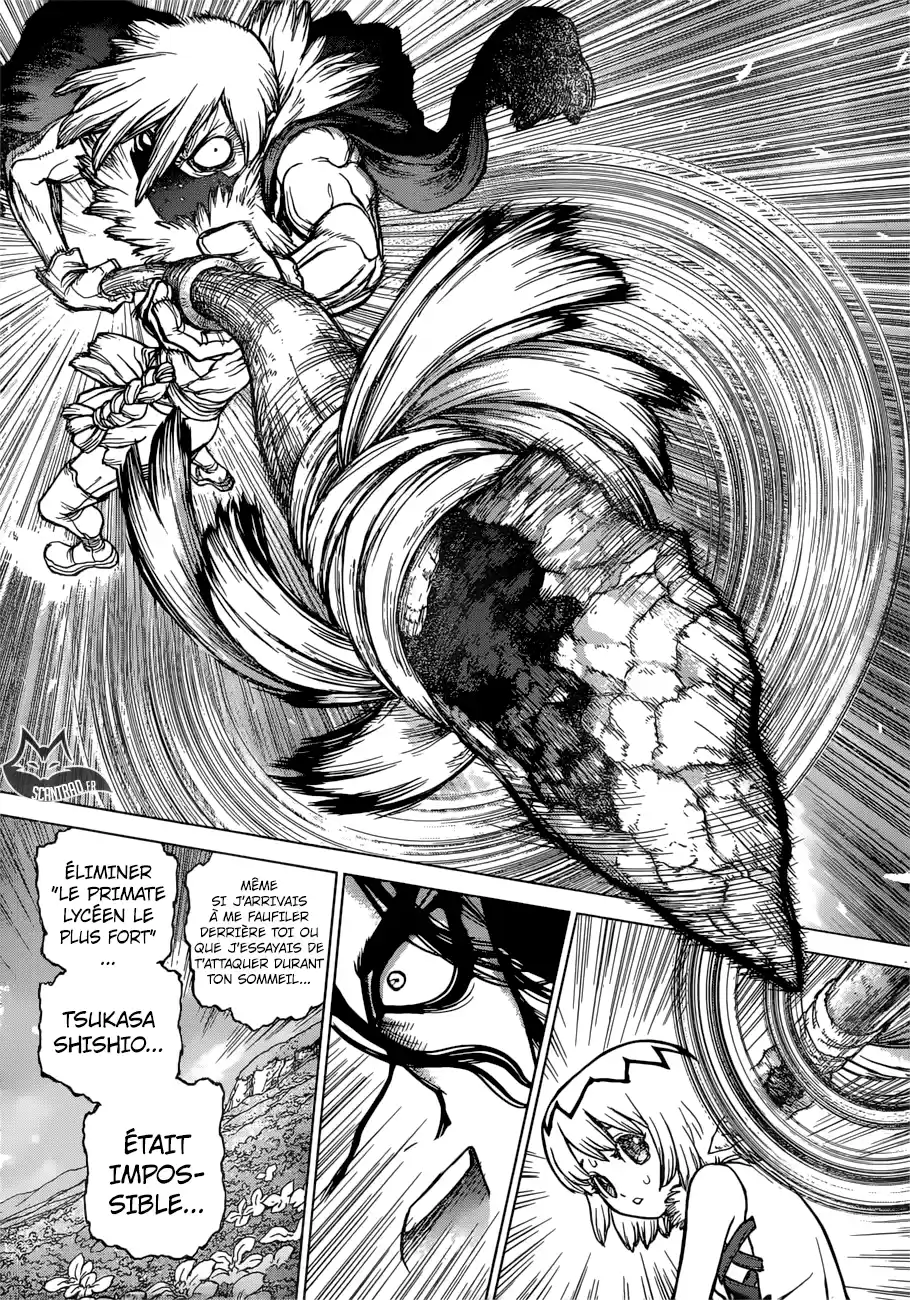 Read Dr. Stone FR Manga Online