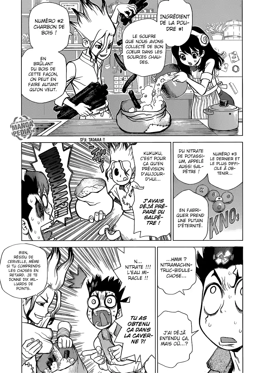 Read Dr. Stone FR Manga Online