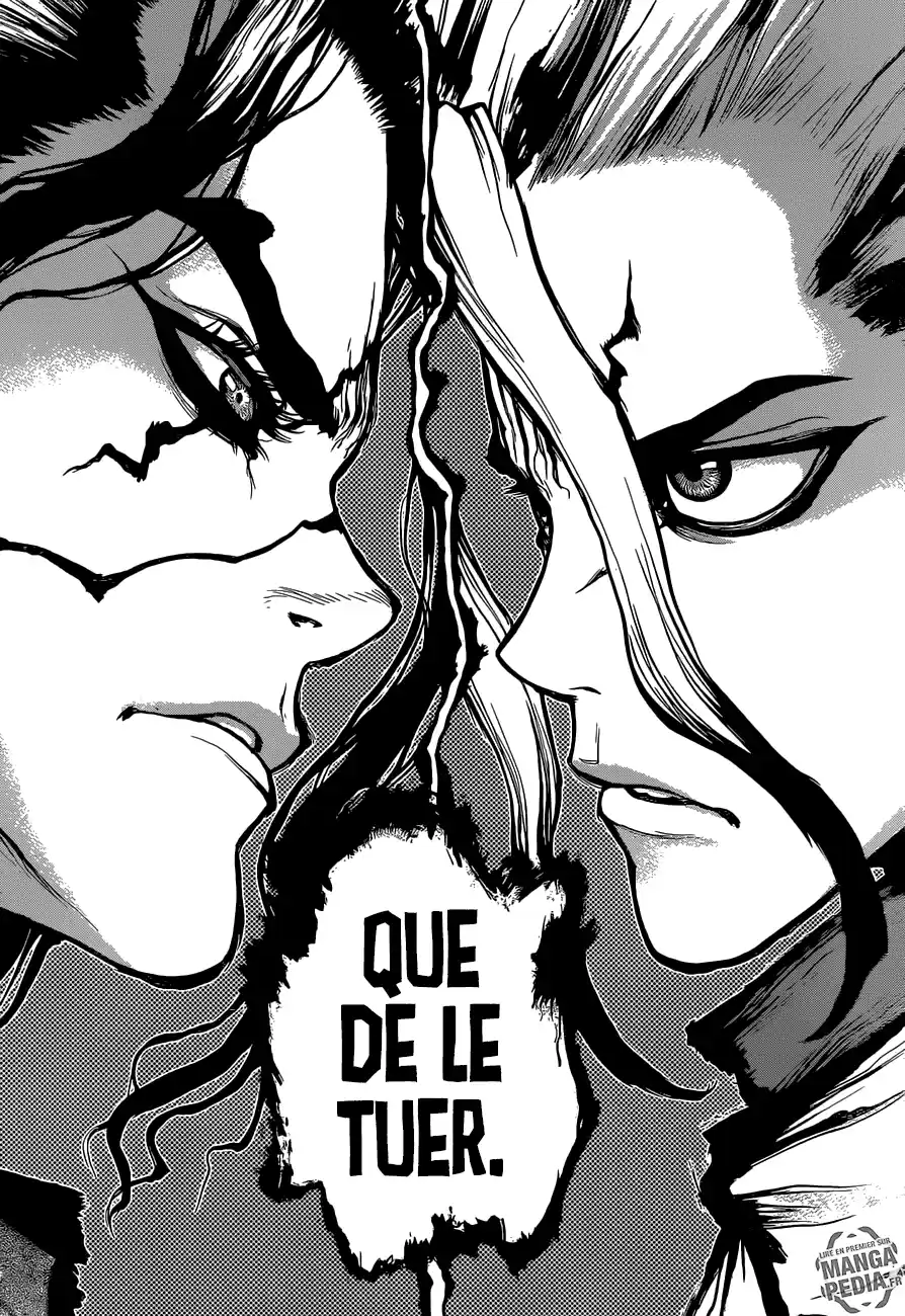Read Dr. Stone FR Manga Online