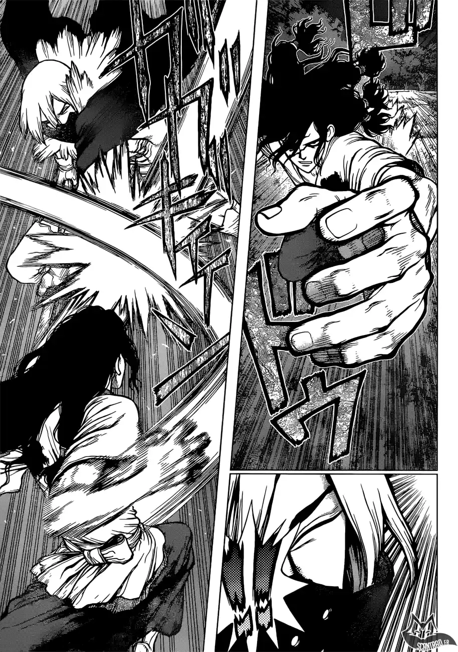 Read Dr. Stone FR Manga Online