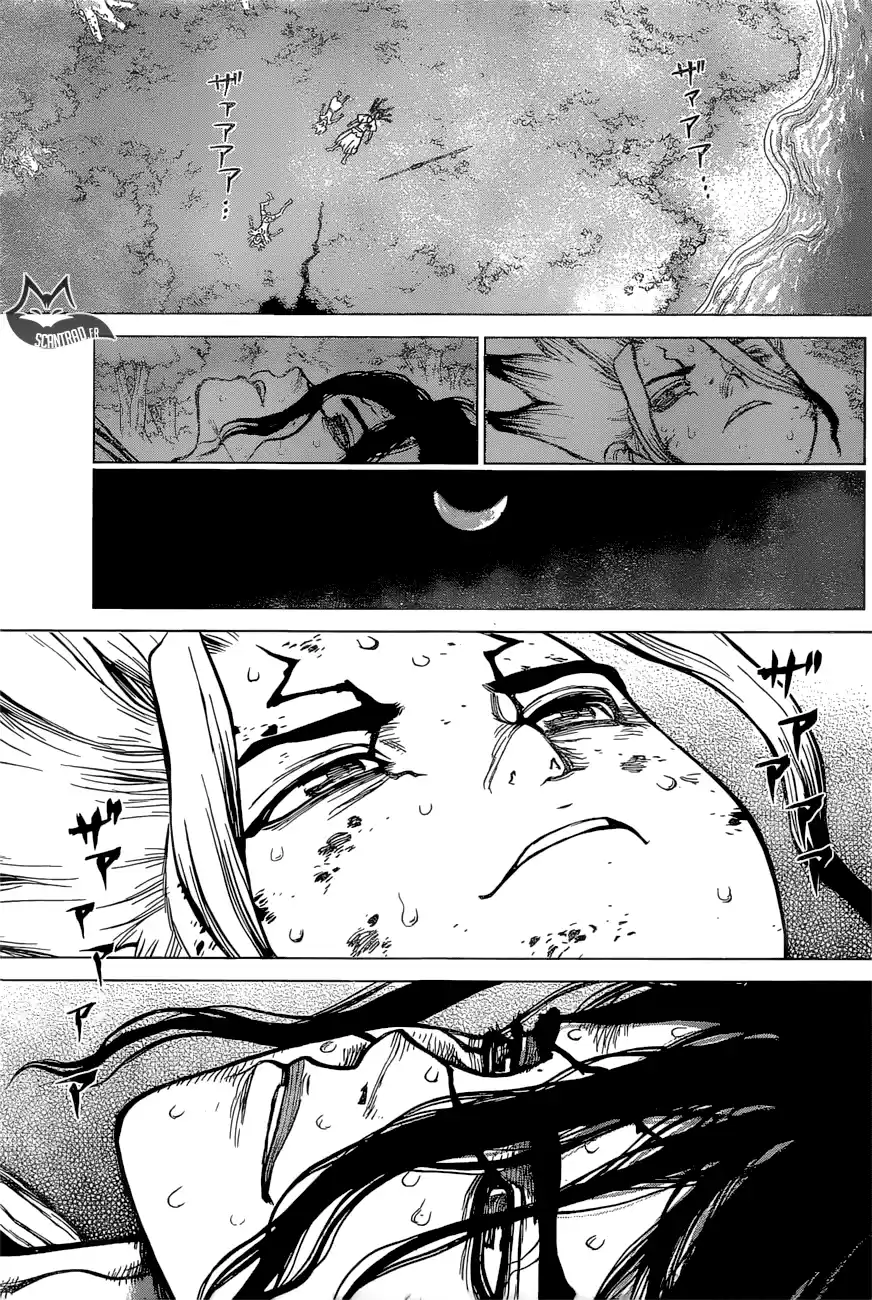 Read Dr. Stone FR Manga Online