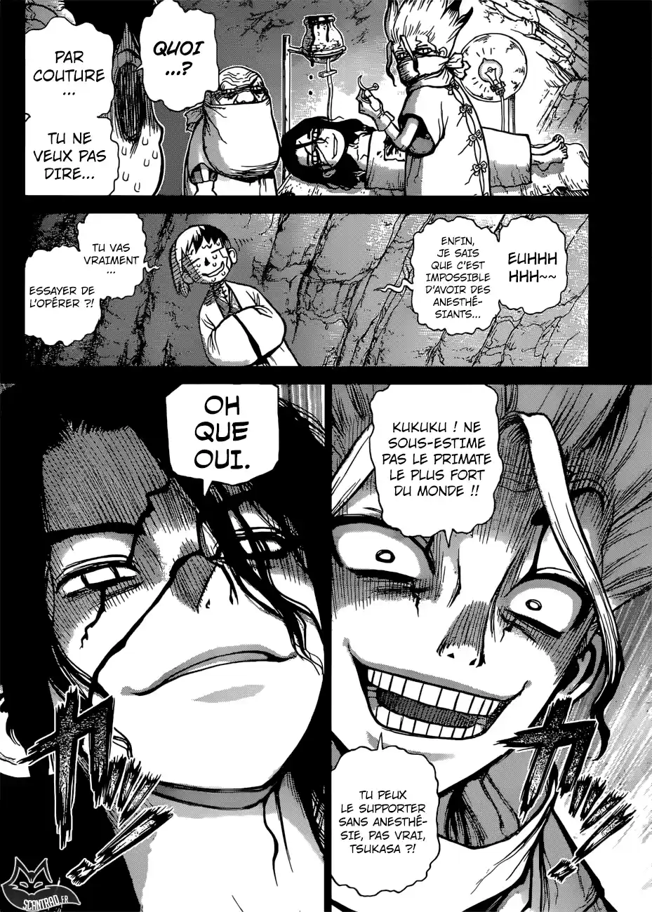 Read Dr. Stone FR Manga Online