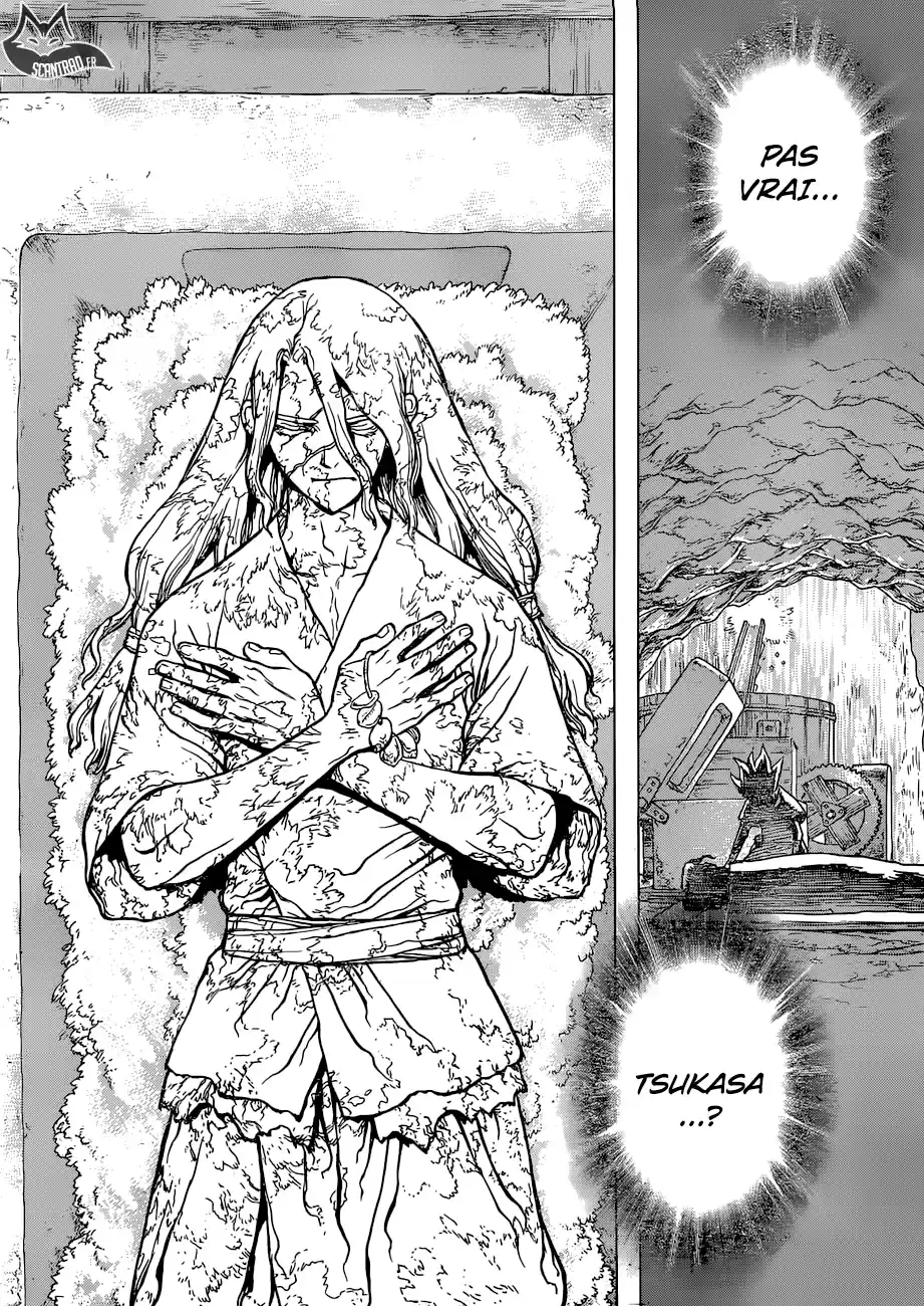 Read Dr. Stone FR Manga Online