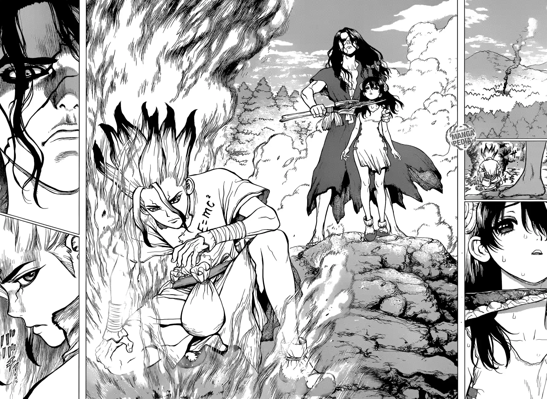 Read Dr. Stone FR Manga Online
