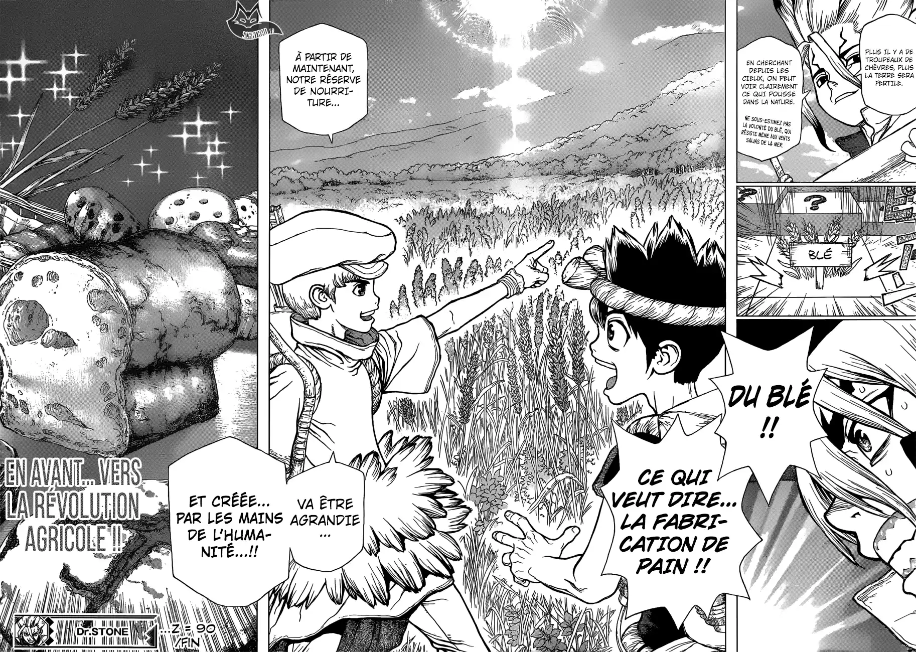 Read Dr. Stone FR Manga Online