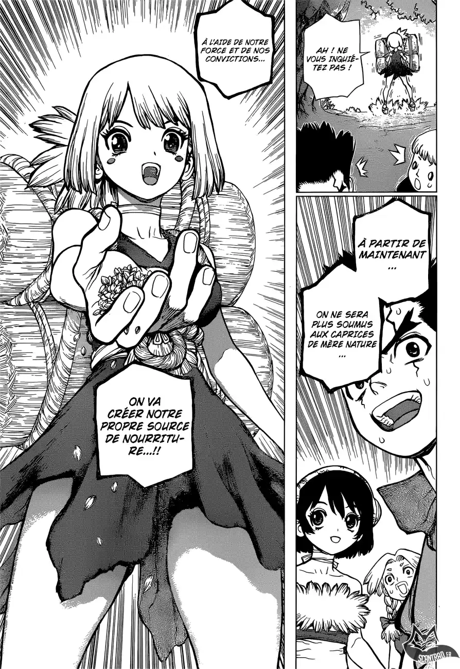 Read Dr. Stone FR Manga Online