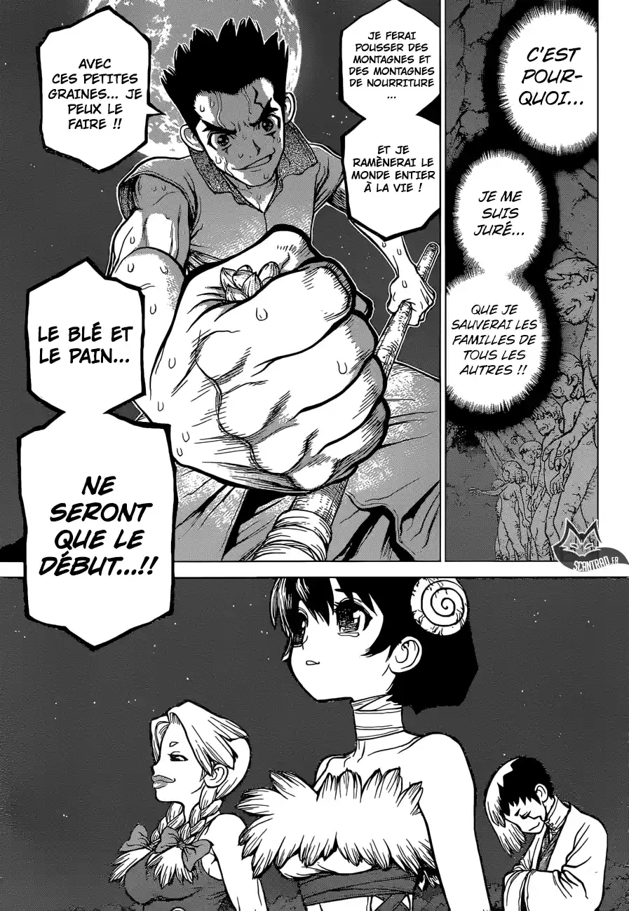 Read Dr. Stone FR Manga Online