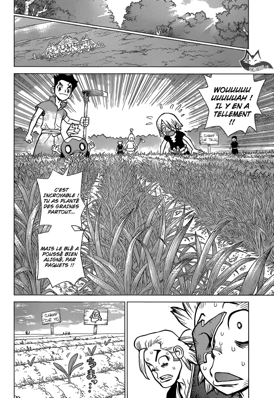 Read Dr. Stone FR Manga Online