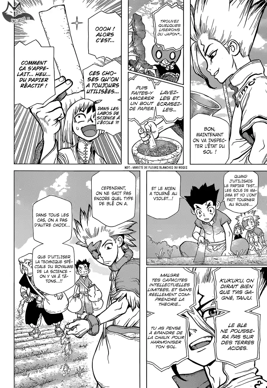 Read Dr. Stone FR Manga Online