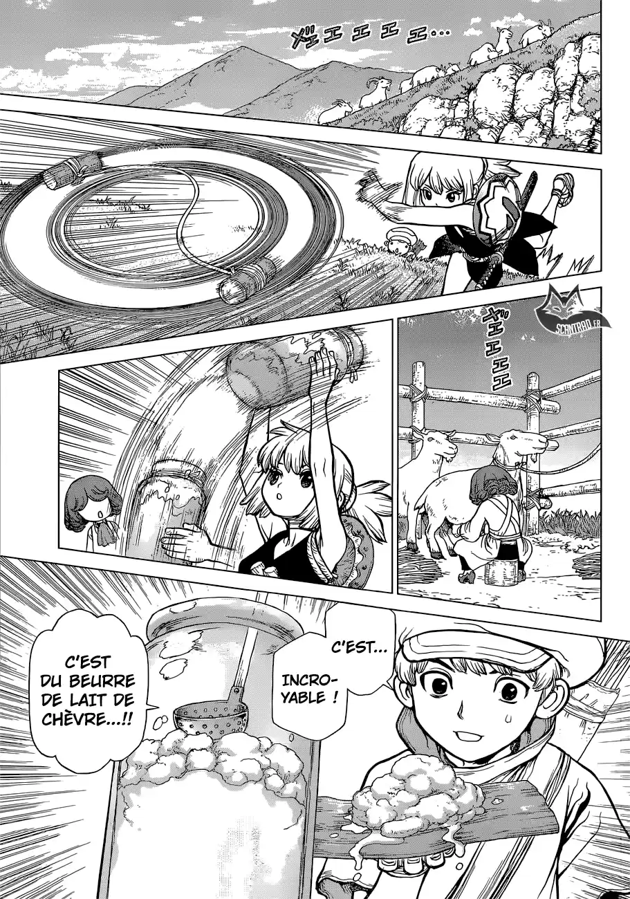 Read Dr. Stone FR Manga Online
