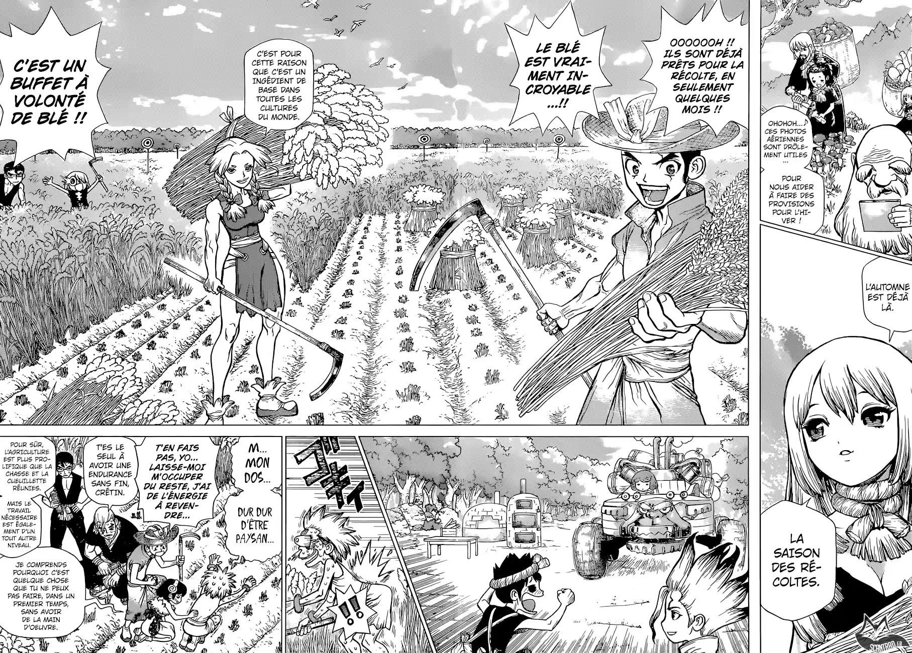 Read Dr. Stone FR Manga Online