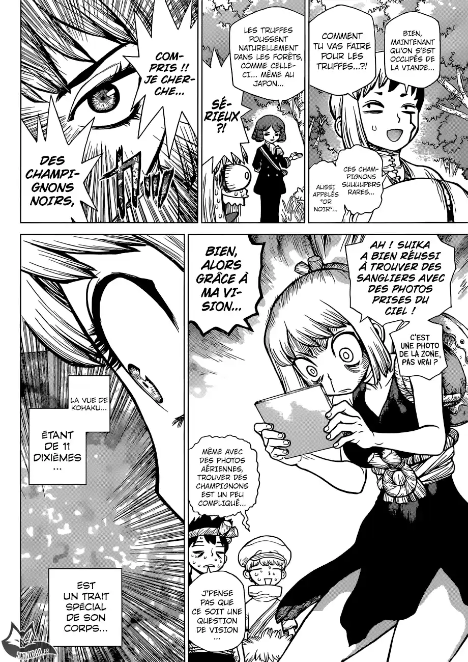 Read Dr. Stone FR Manga Online