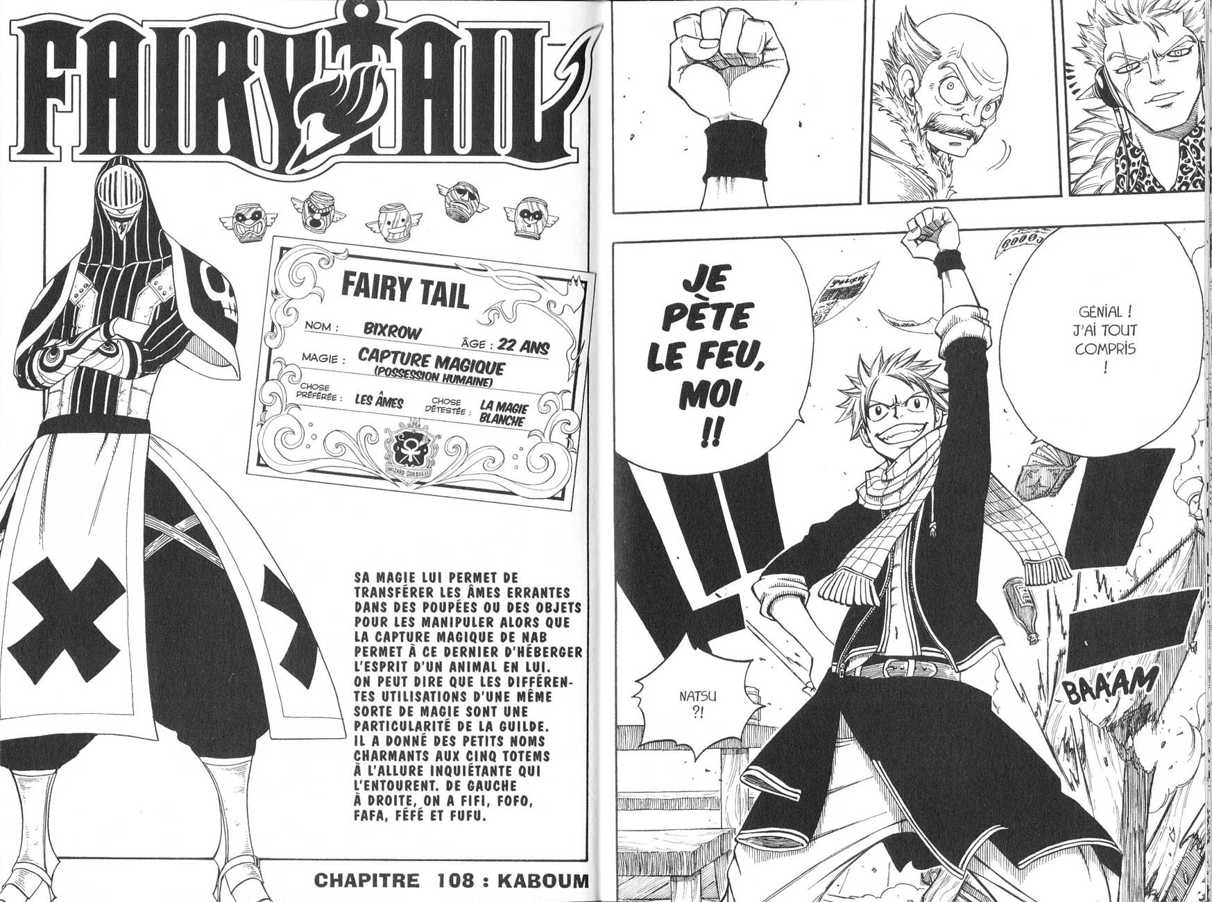 Read Fairy Tail FR Manga Online