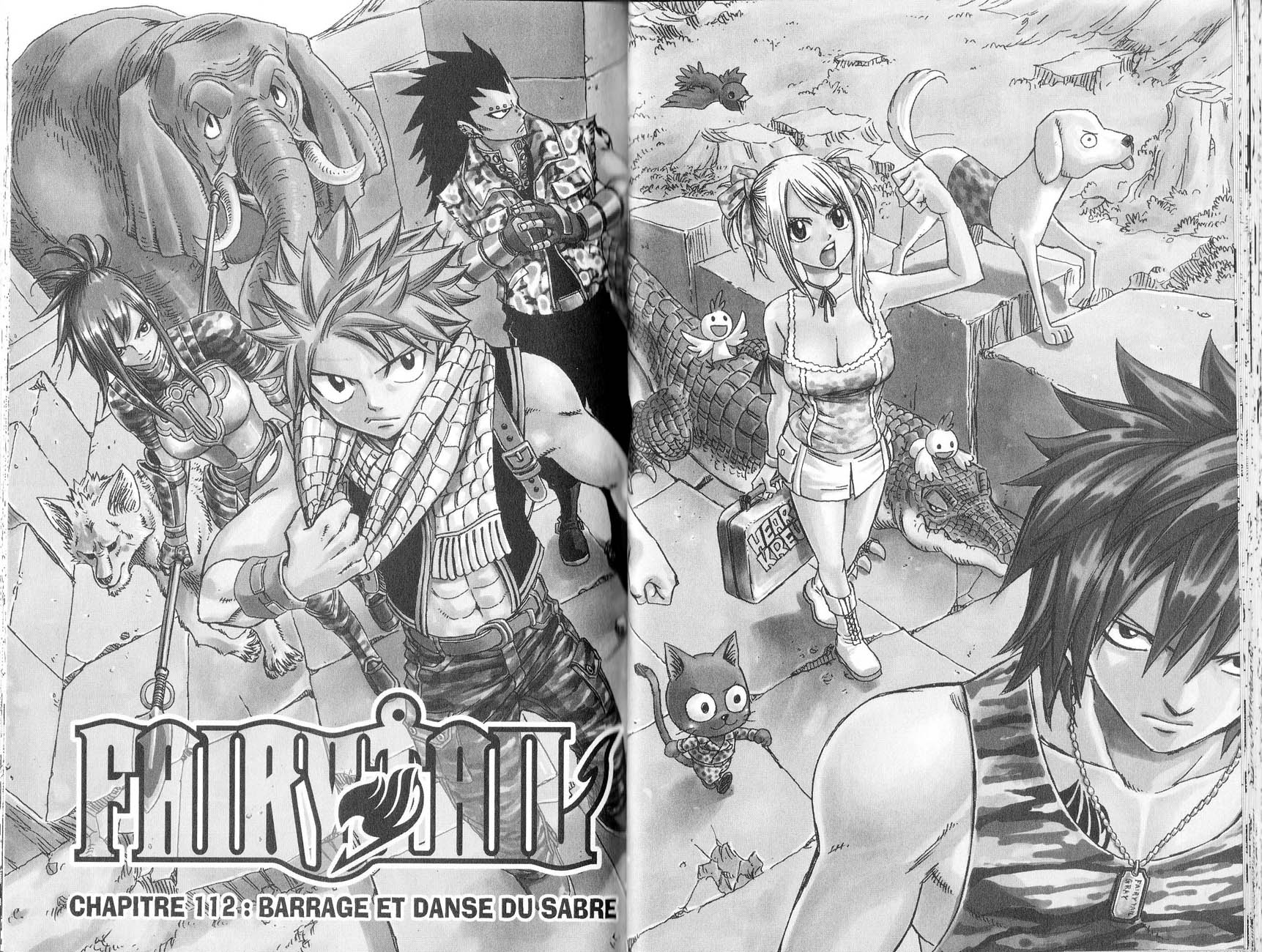 Read Fairy Tail FR Manga Online