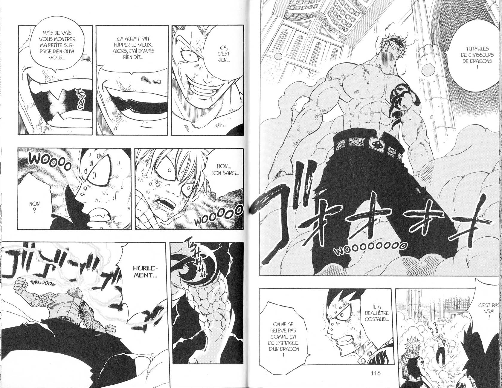 Read Fairy Tail FR Manga Online