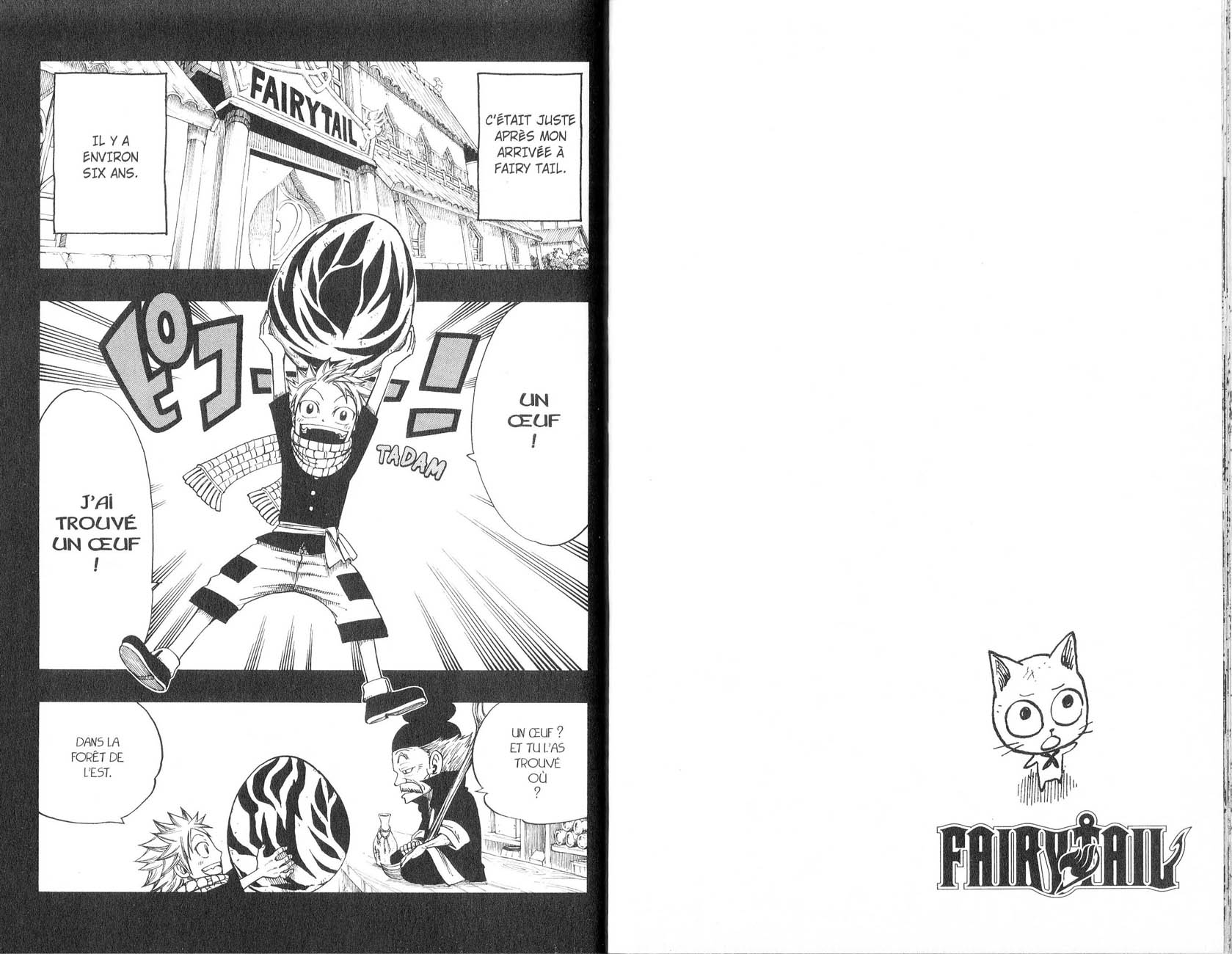 Read Fairy Tail FR Manga Online
