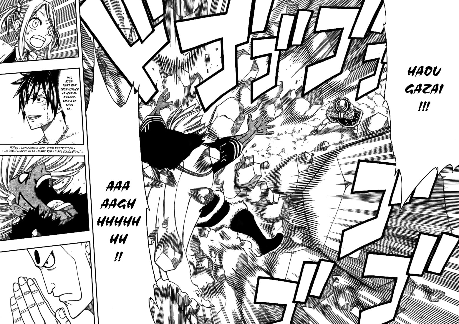 Read Fairy Tail FR Manga Online