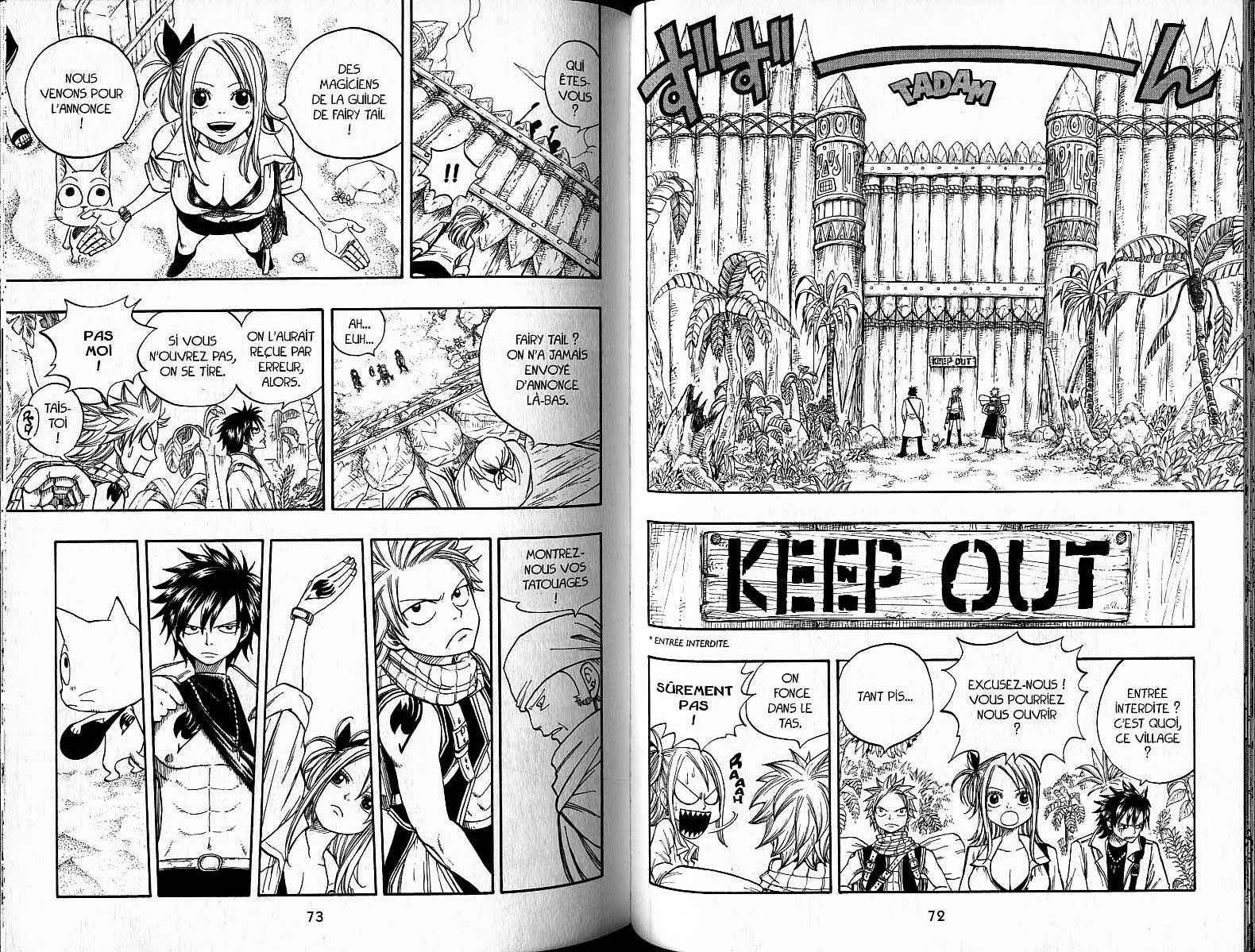 Read Fairy Tail FR Manga Online