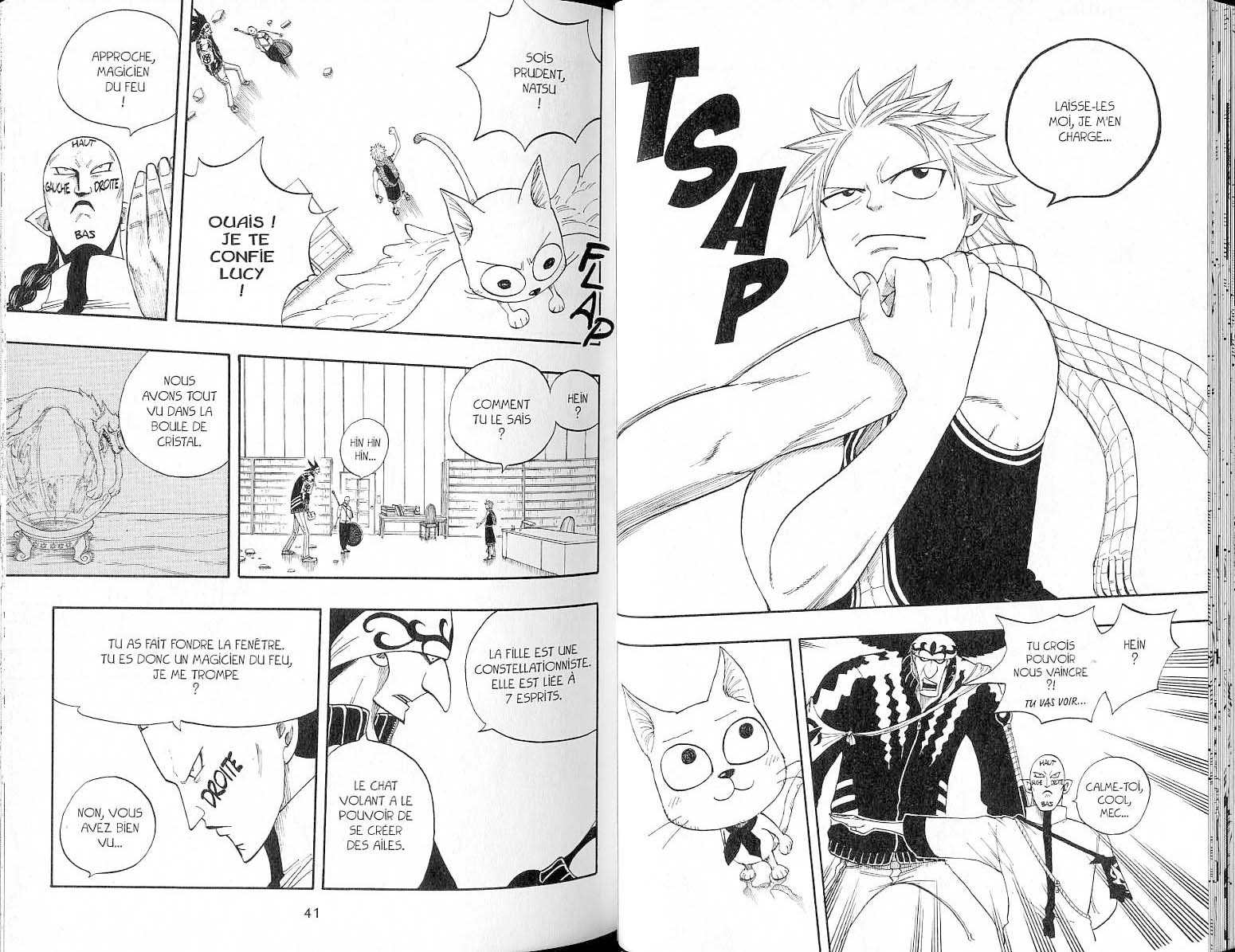 Read Fairy Tail FR Manga Online
