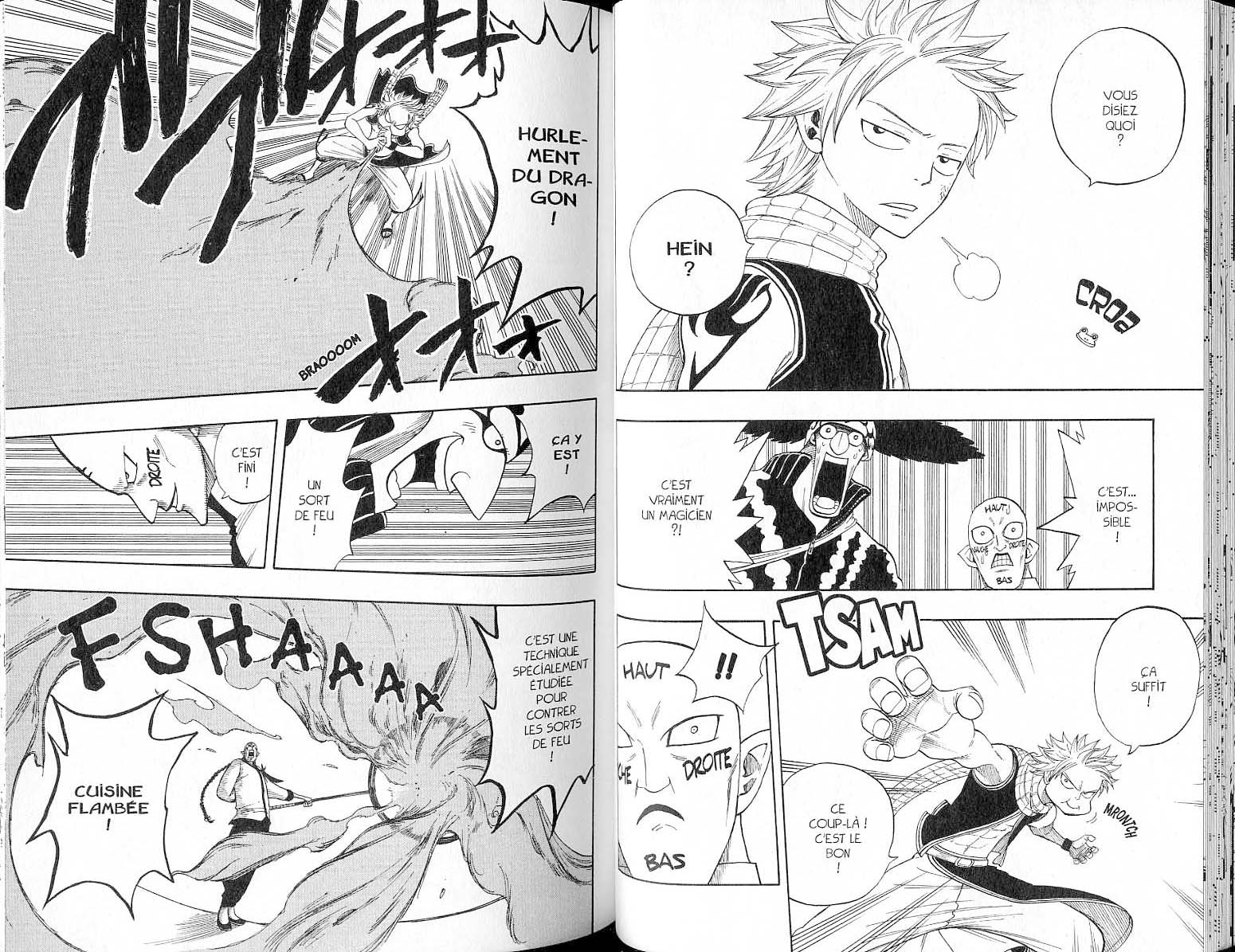 Read Fairy Tail FR Manga Online
