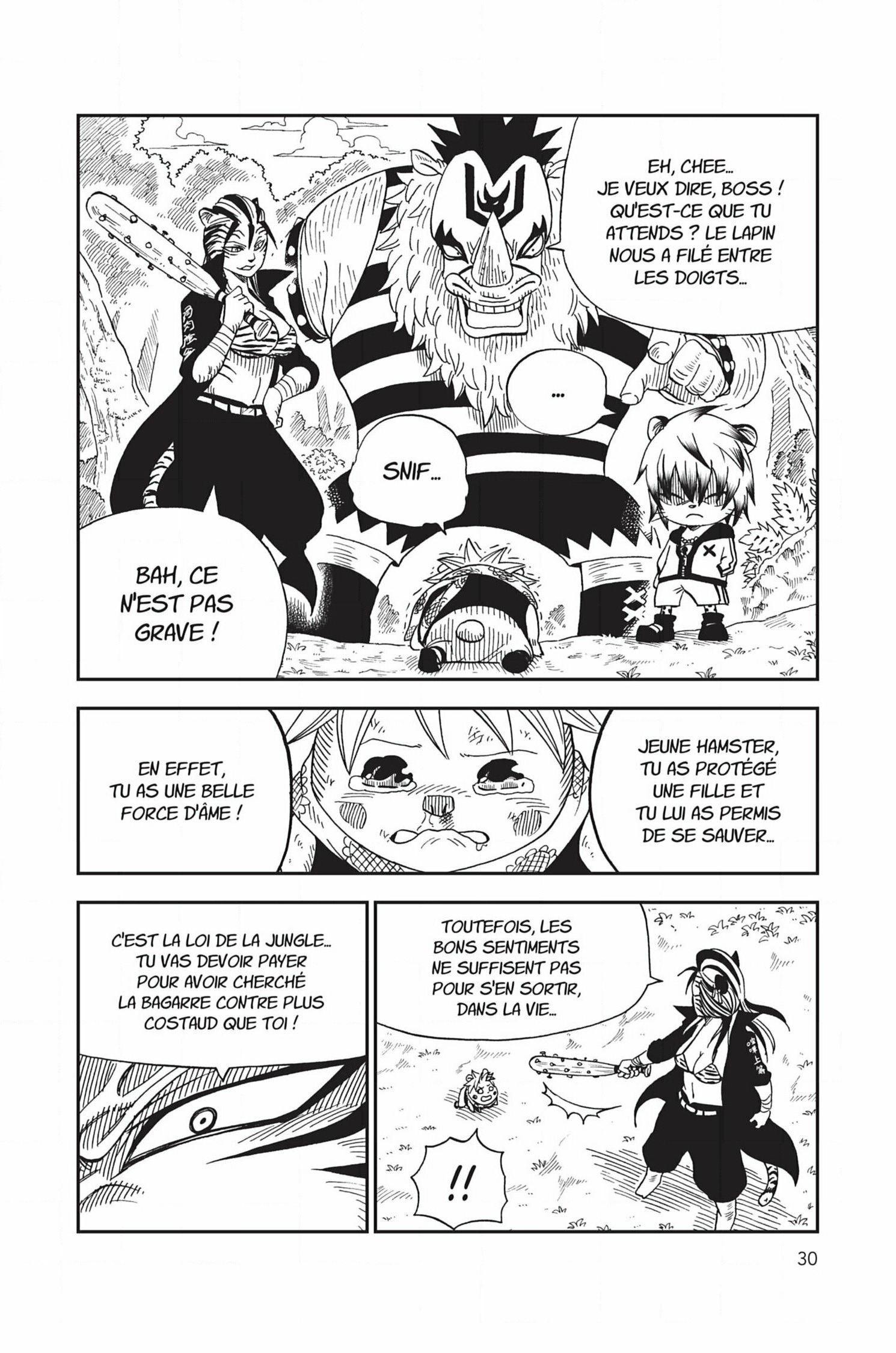 Read Fairy Tail FR Manga Online