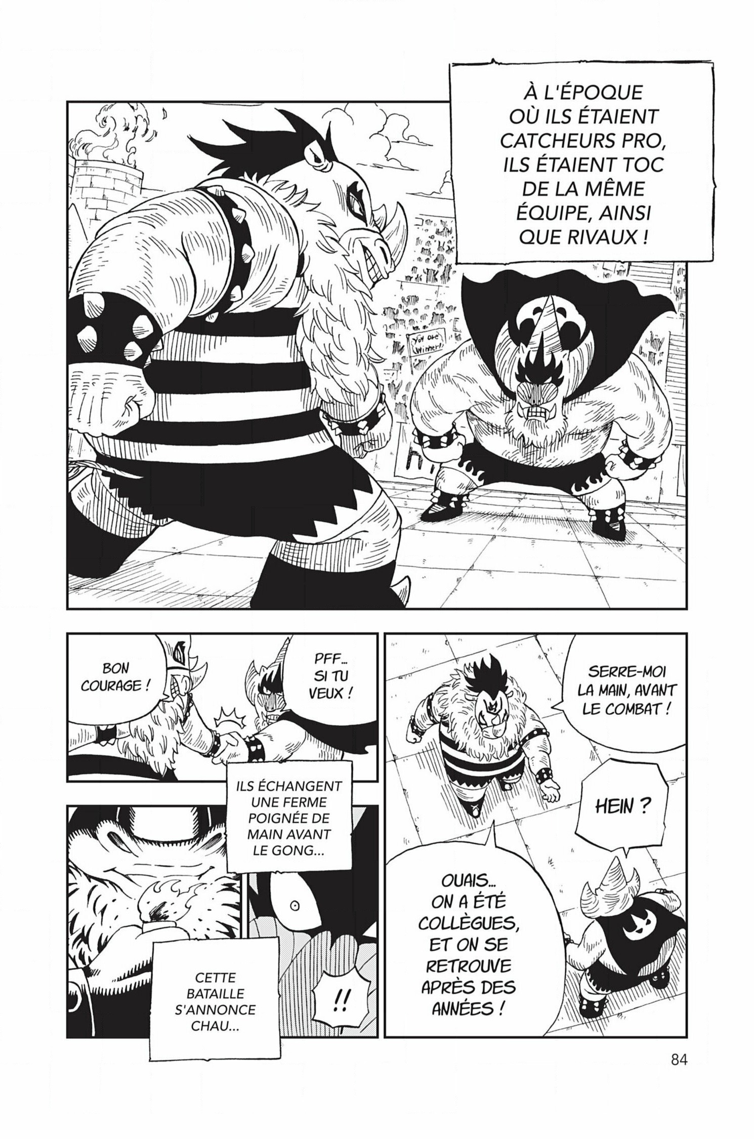 Read Fairy Tail FR Manga Online