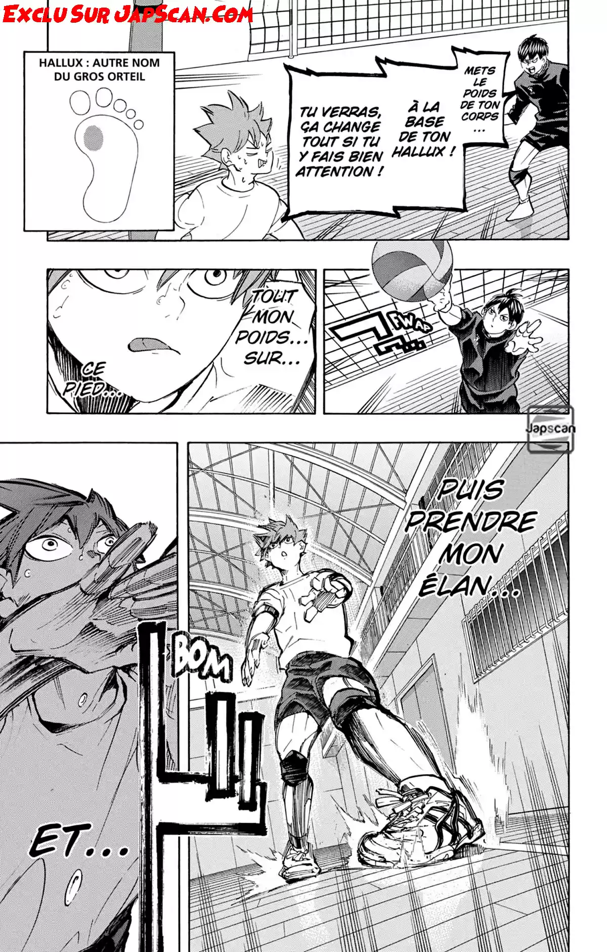 Read Haikyuu FR Manga Online