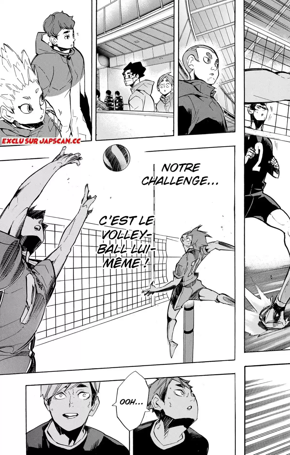 Read Haikyuu FR Manga Online