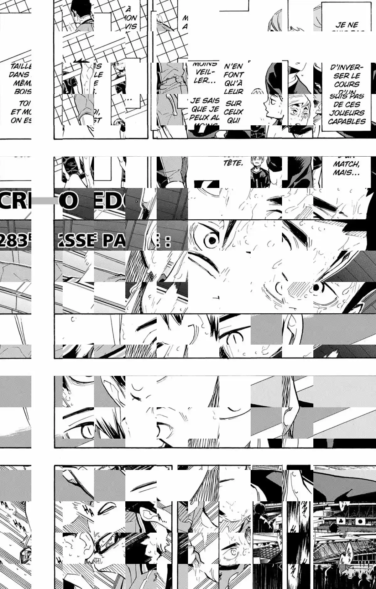 Read Haikyuu FR Manga Online