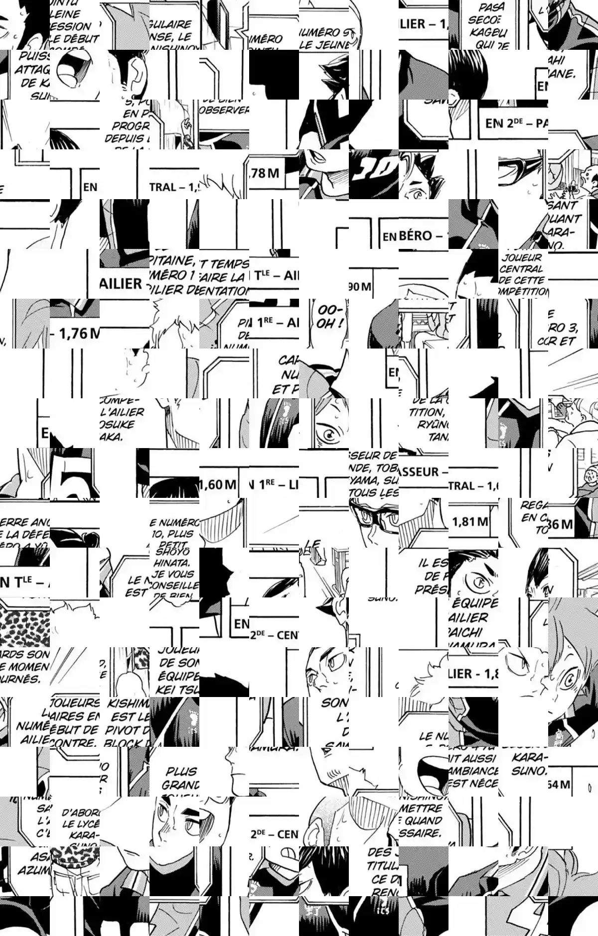 Read Haikyuu FR Manga Online