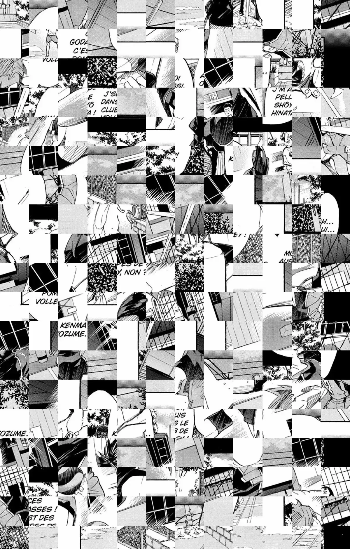 Read Haikyuu FR Manga Online