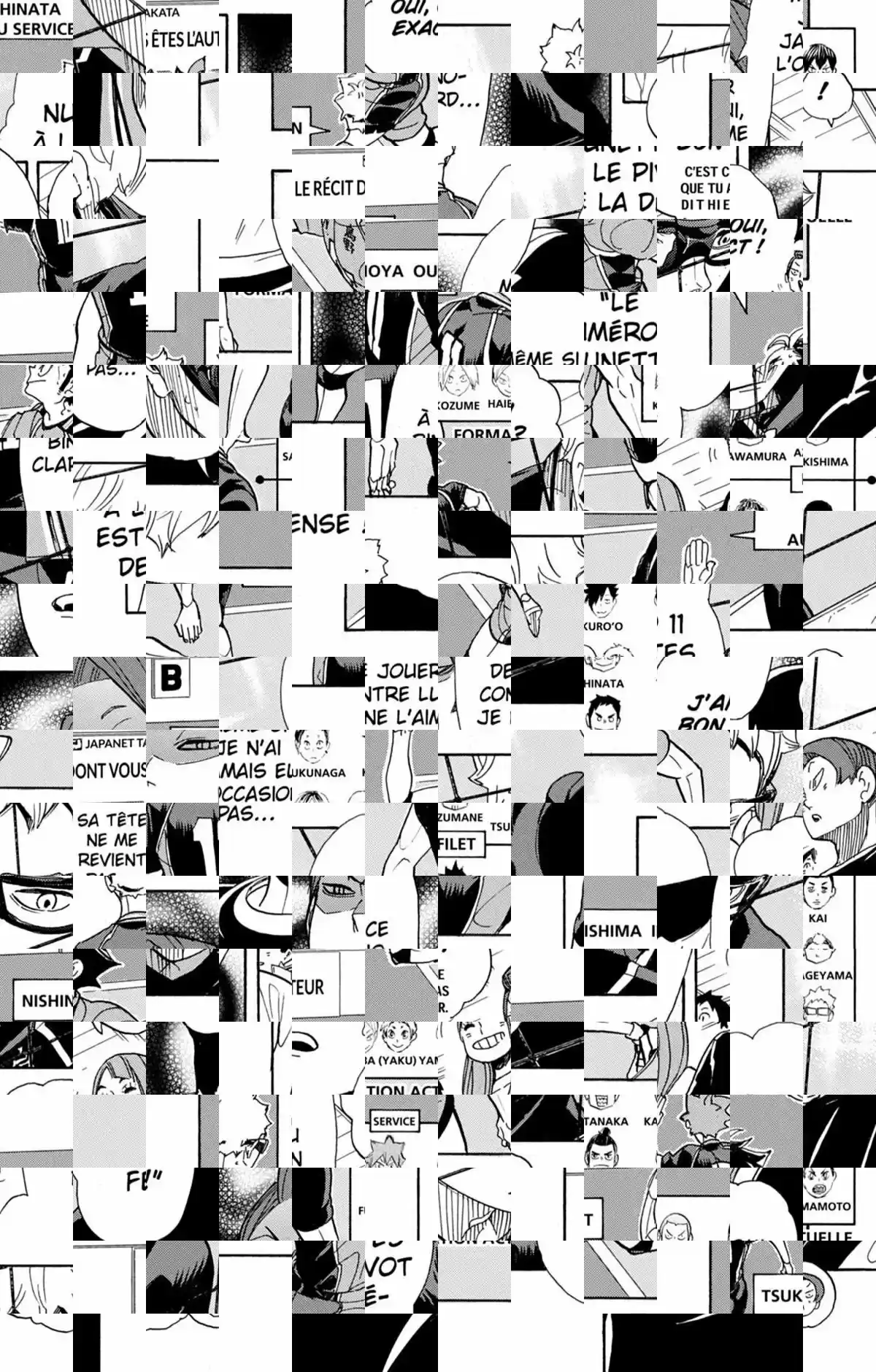 Read Haikyuu FR Manga Online