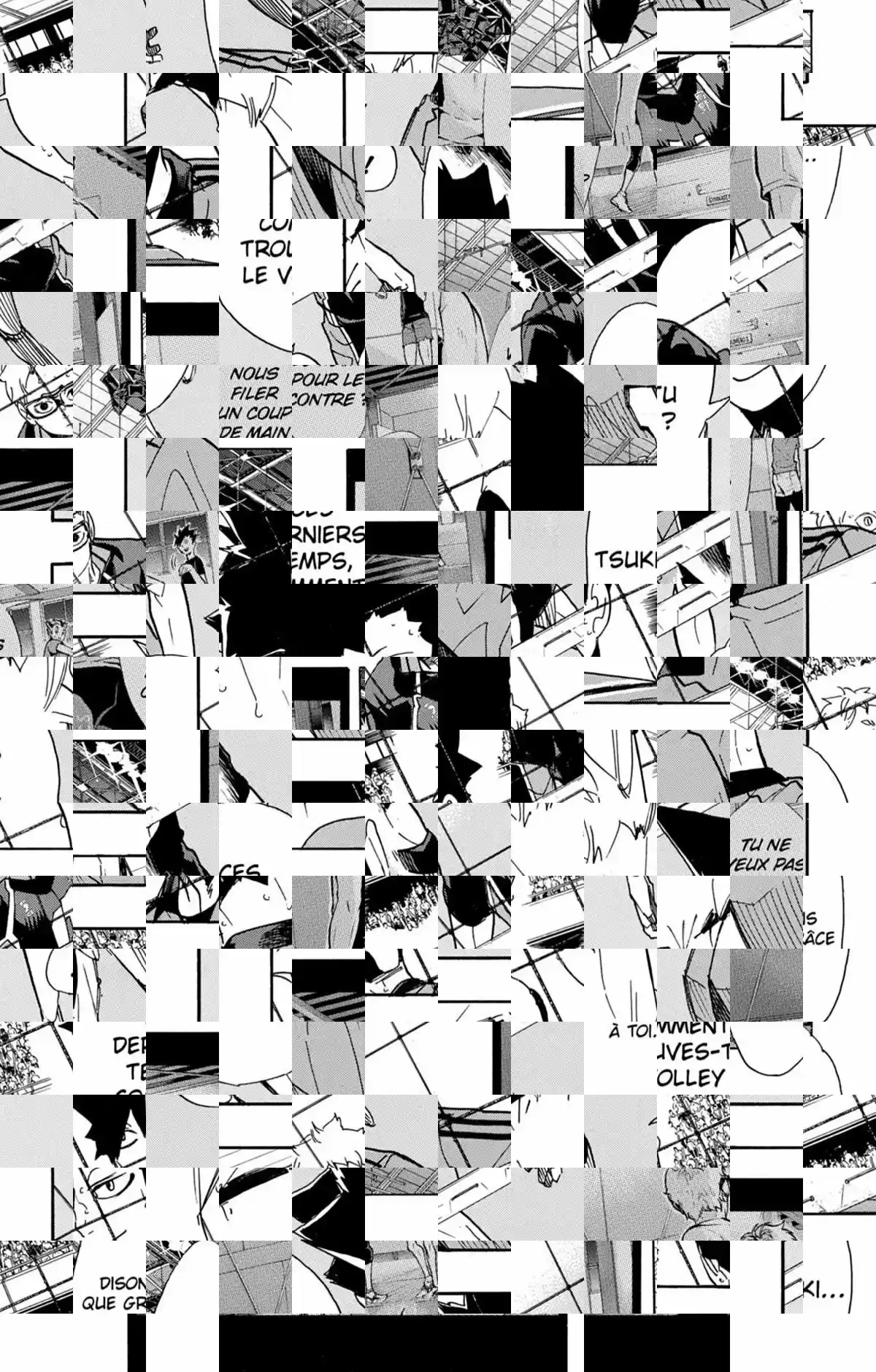 Read Haikyuu FR Manga Online