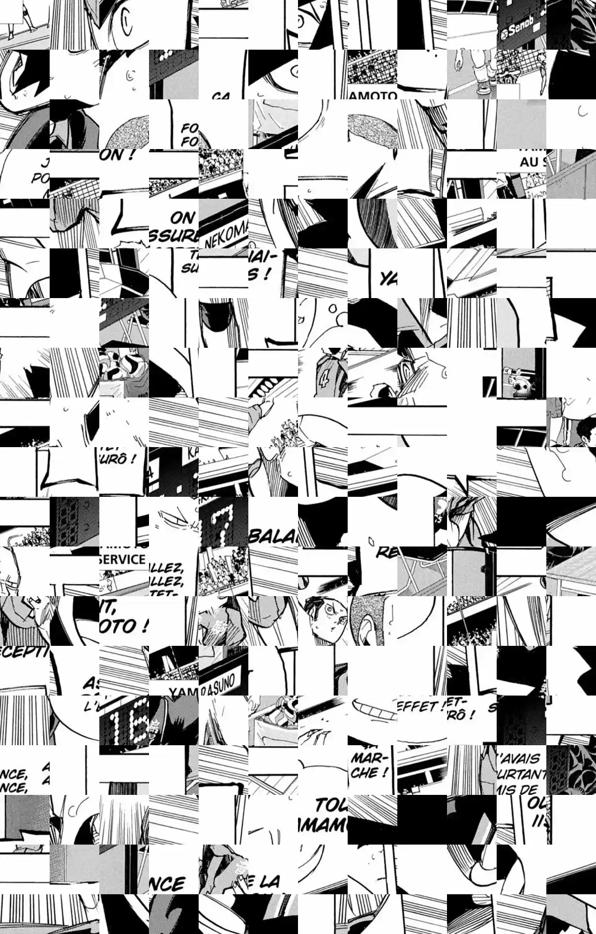 Read Haikyuu FR Manga Online