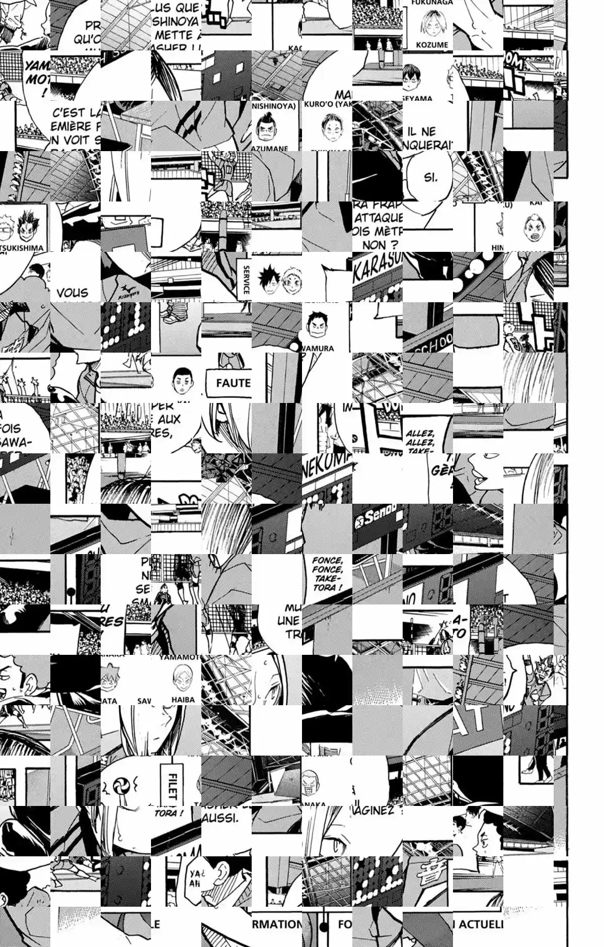Read Haikyuu FR Manga Online