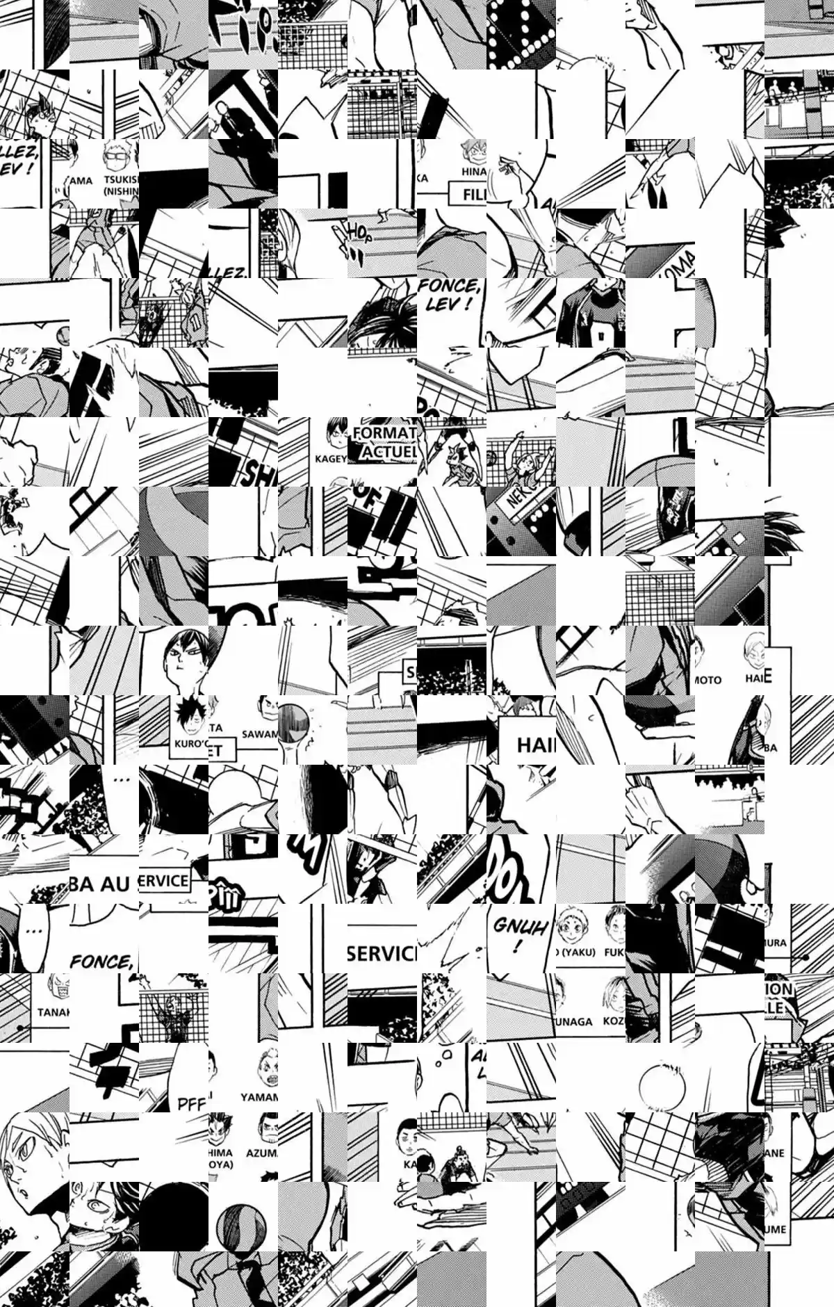 Read Haikyuu FR Manga Online