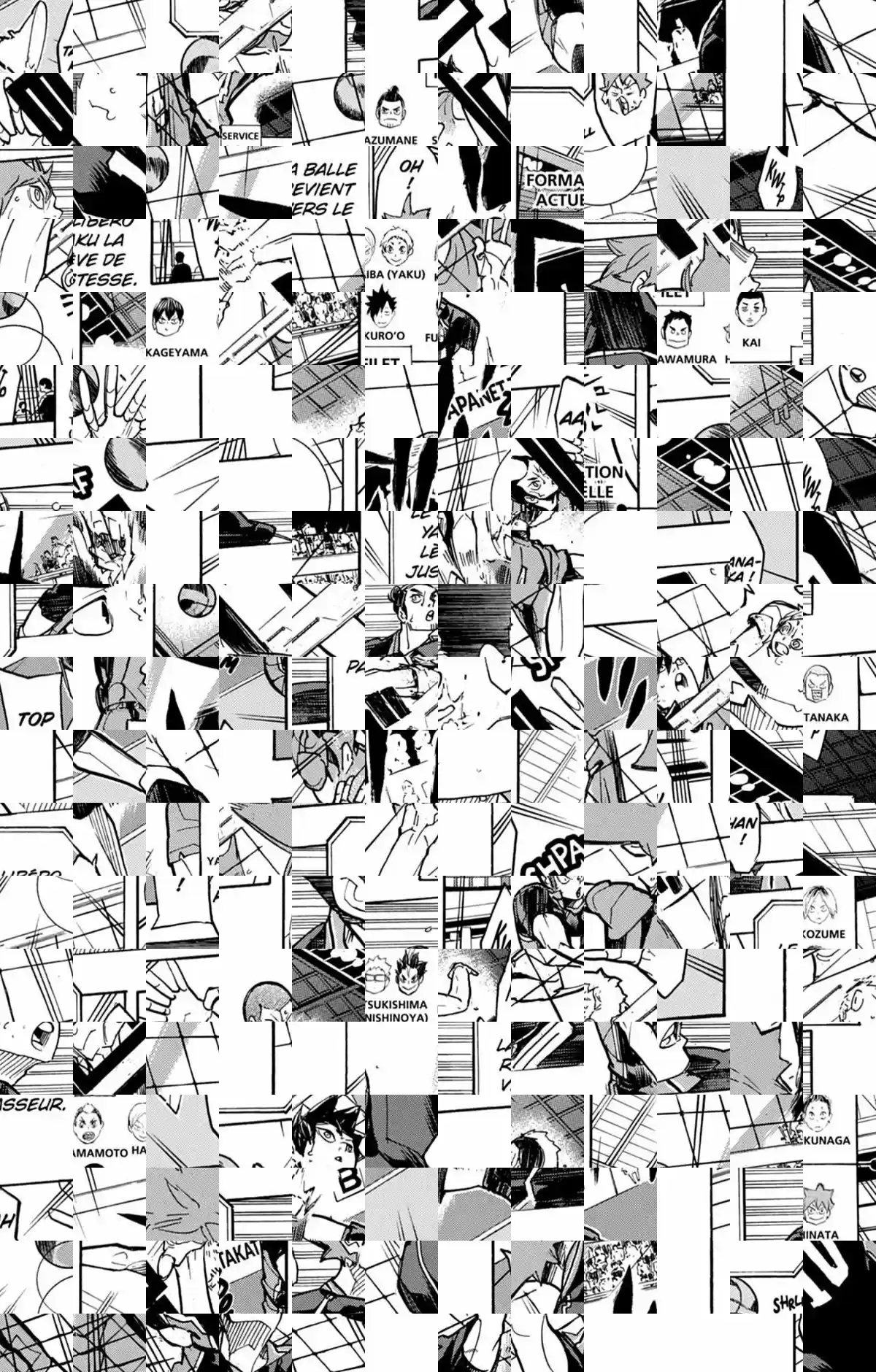 Read Haikyuu FR Manga Online