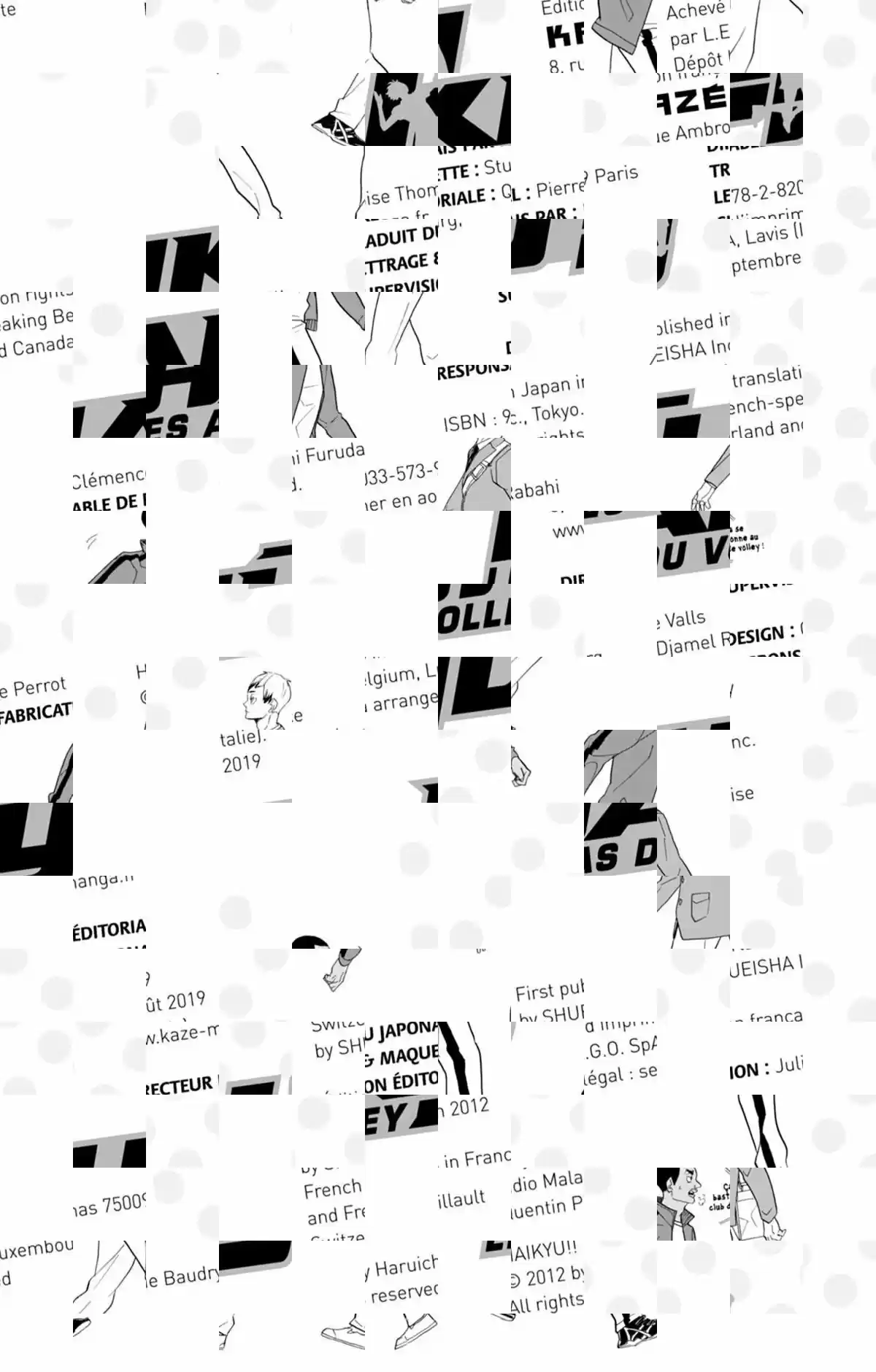 Read Haikyuu FR Manga Online