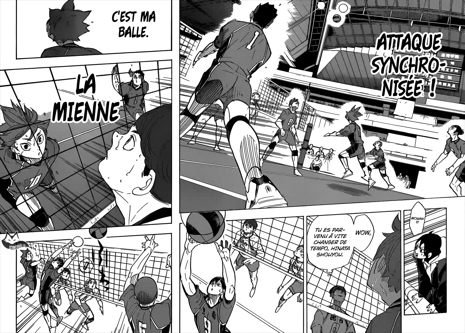 Read Haikyuu FR Manga Online