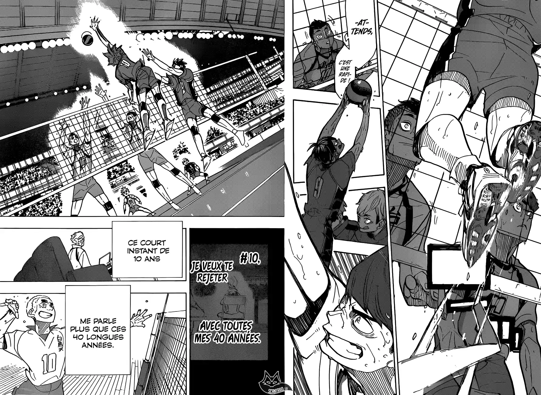Read Haikyuu FR Manga Online
