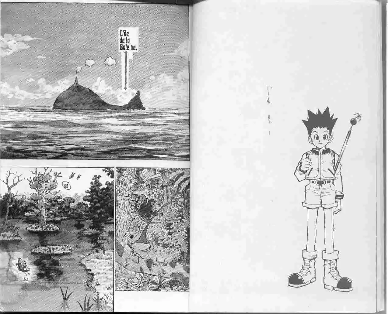 Read Hunter X Hunter FR Manga Online