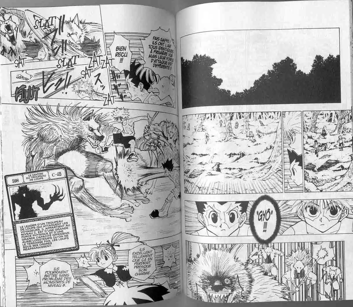Read Hunter X Hunter FR Manga Online