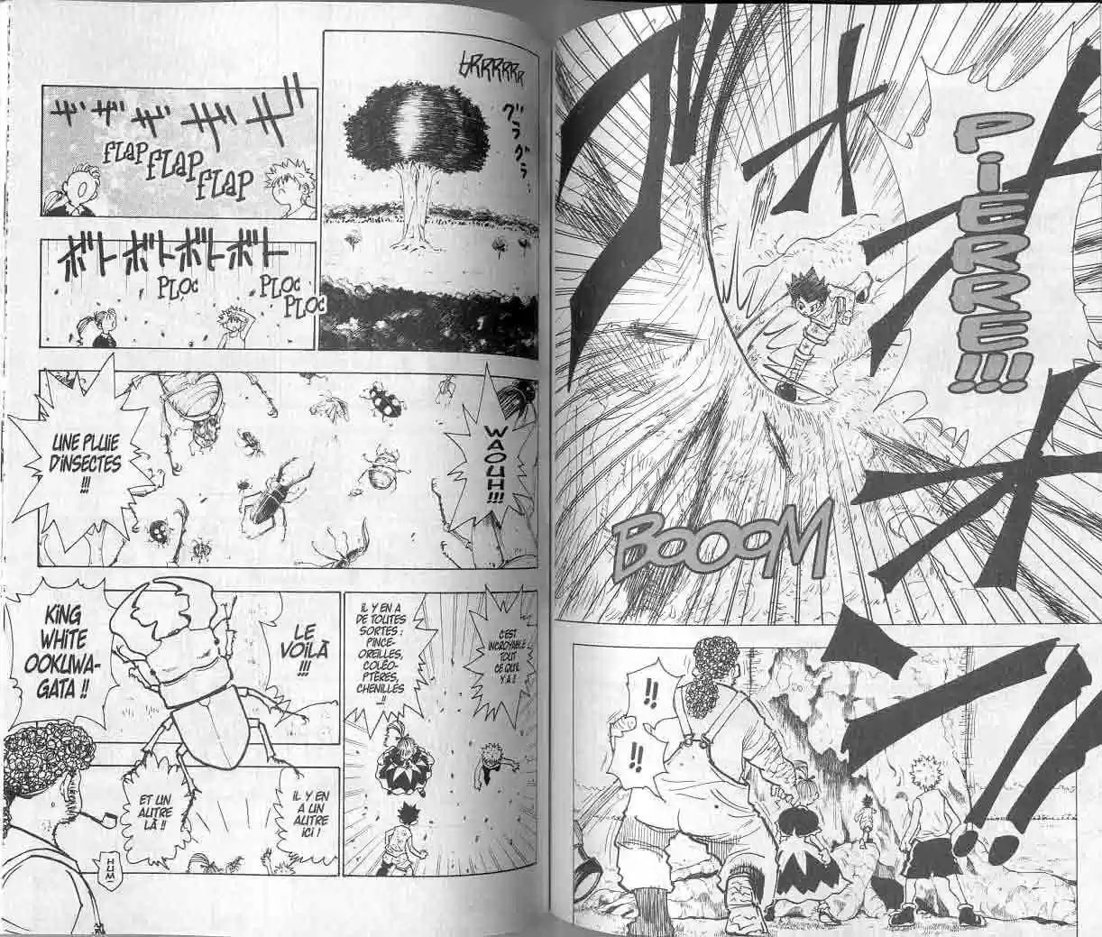 Read Hunter X Hunter FR Manga Online