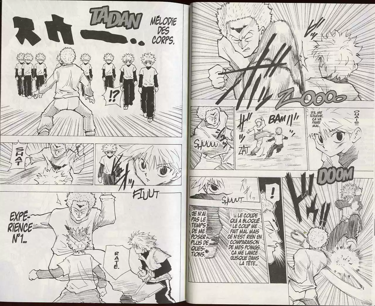 Read Hunter X Hunter FR Manga Online