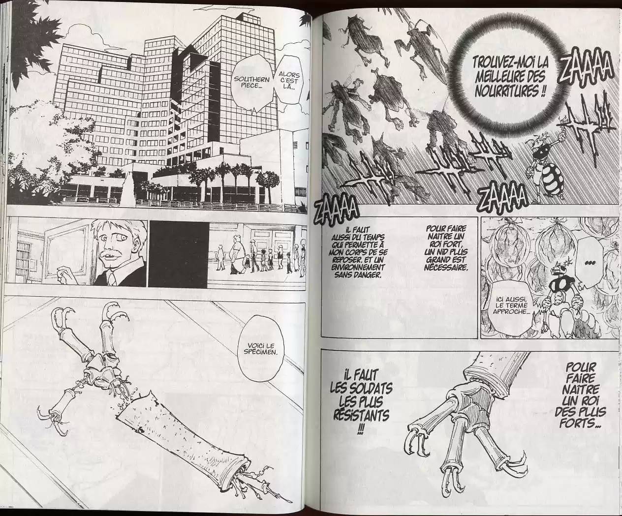 Read Hunter X Hunter FR Manga Online