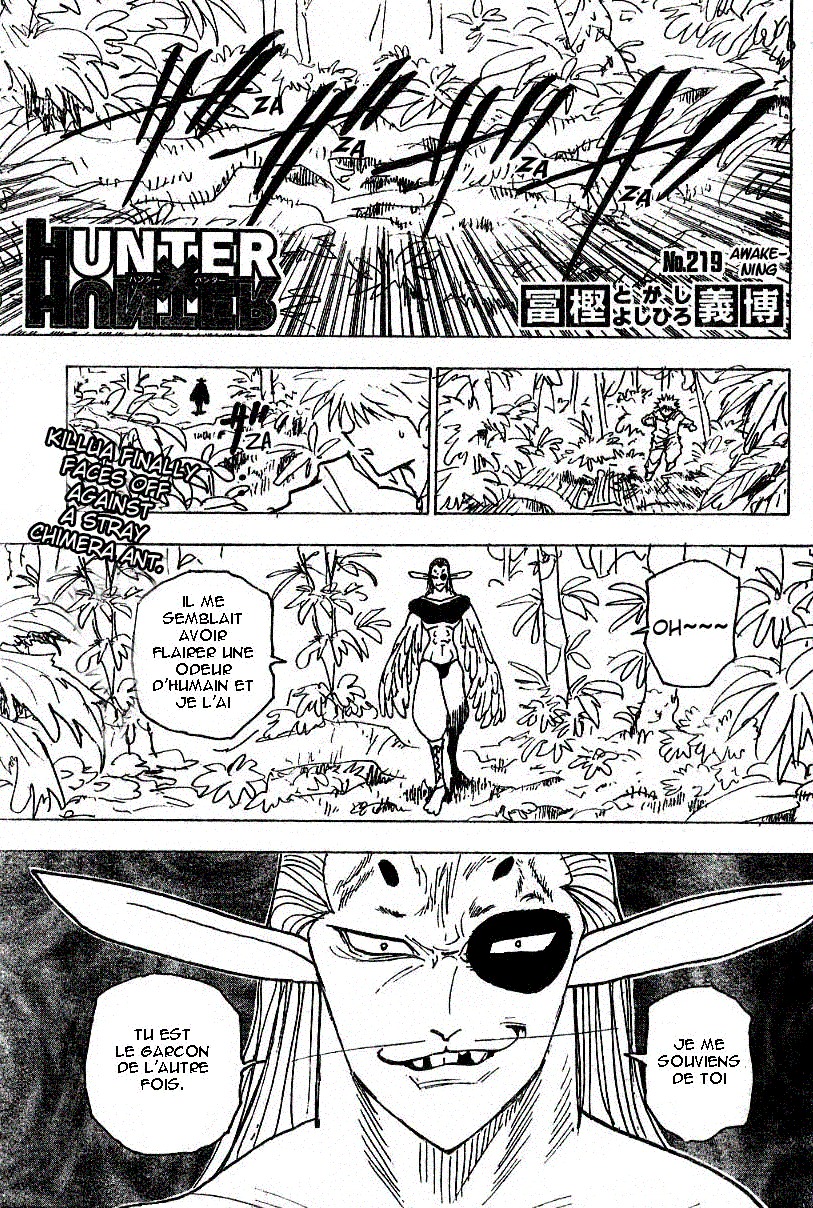 Read Hunter X Hunter FR Manga Online