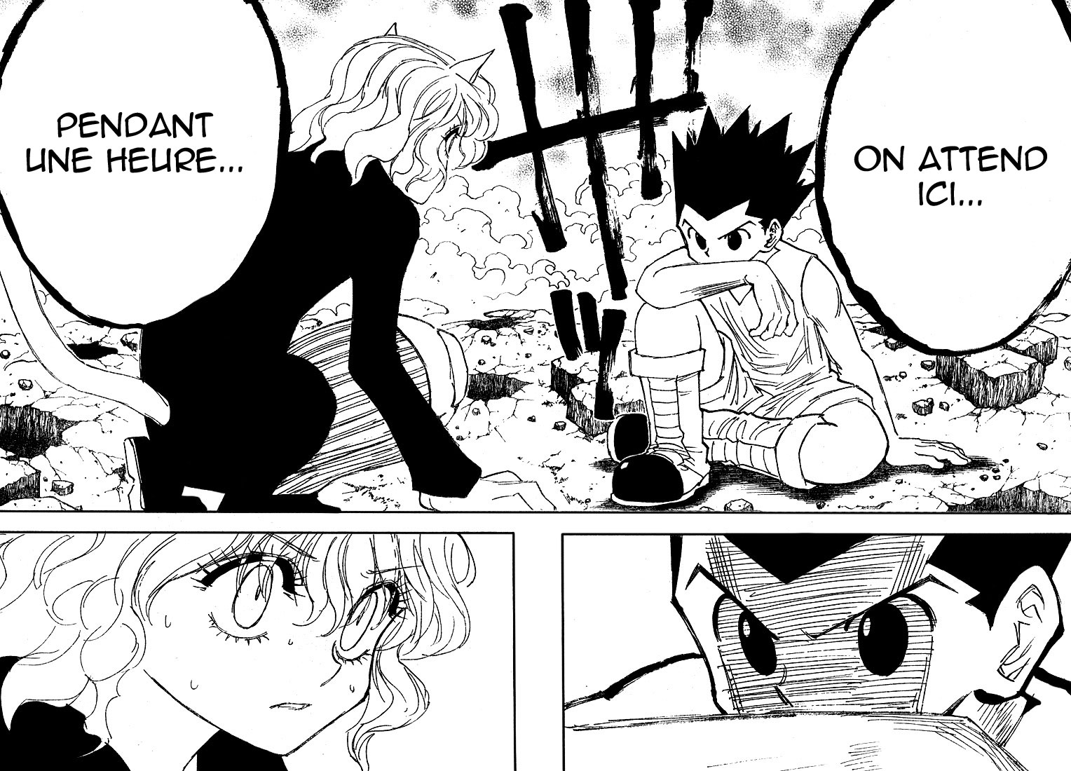 Read Hunter X Hunter FR Manga Online