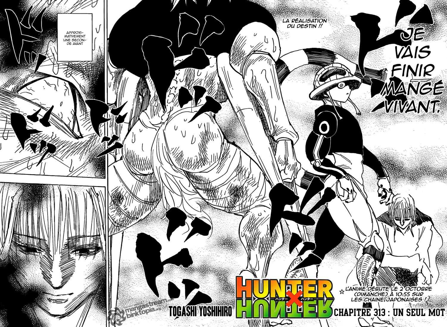 Read Hunter X Hunter FR Manga Online