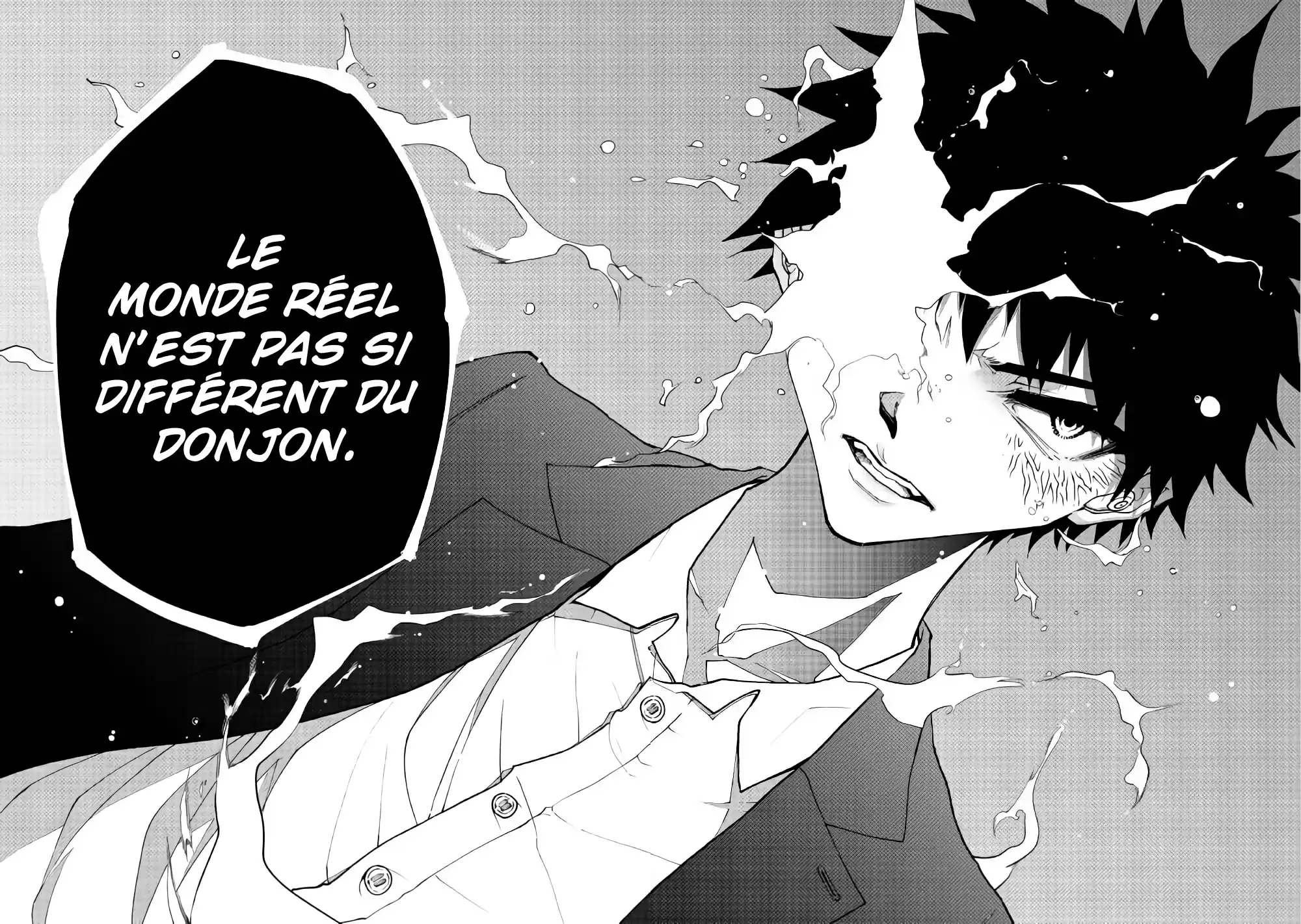 Read The Dungeon Seeker FR Manga Online