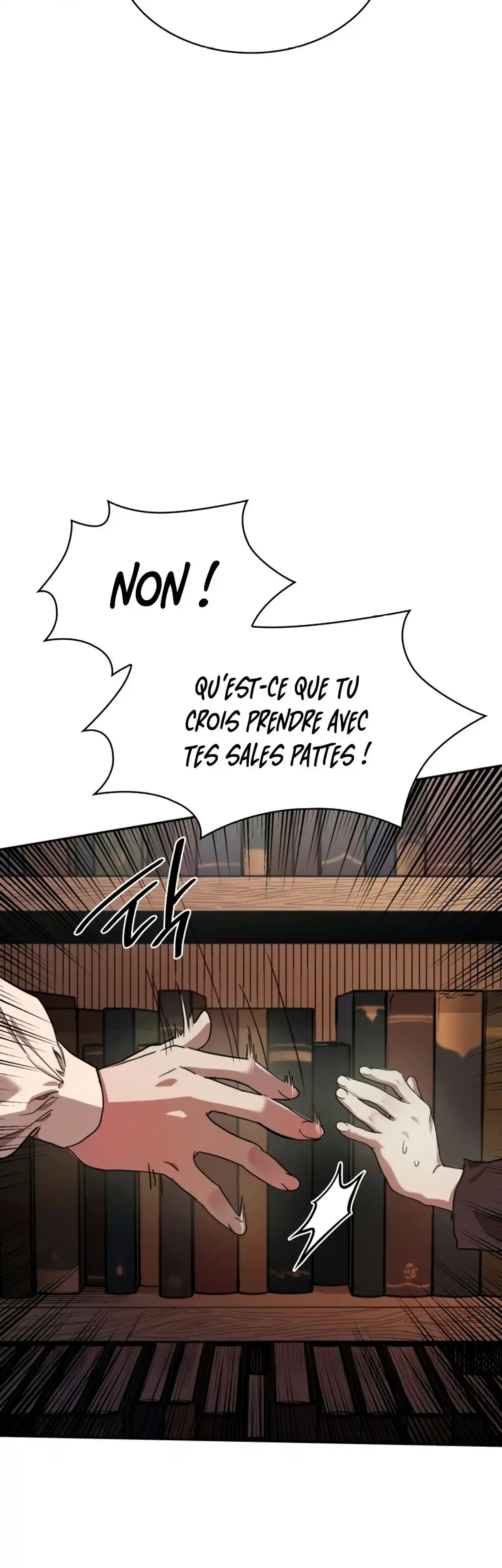 Read The Infinite Mage FR Manga Online